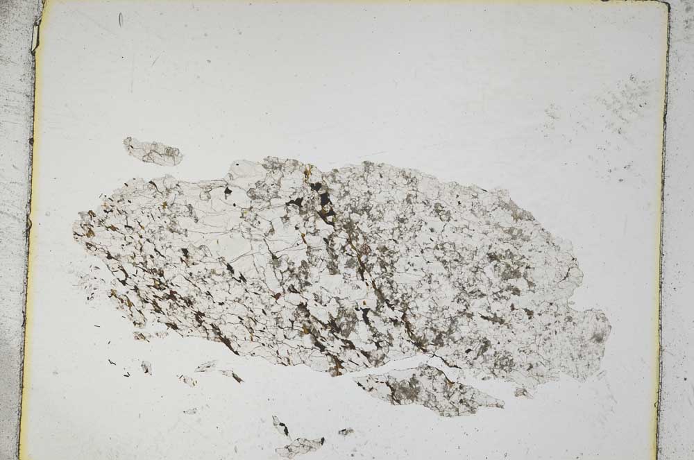 Plane Polarized, S5221