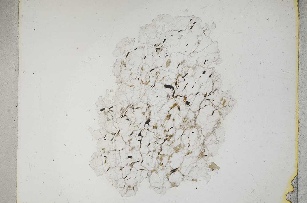 Plane Polarized, S5222