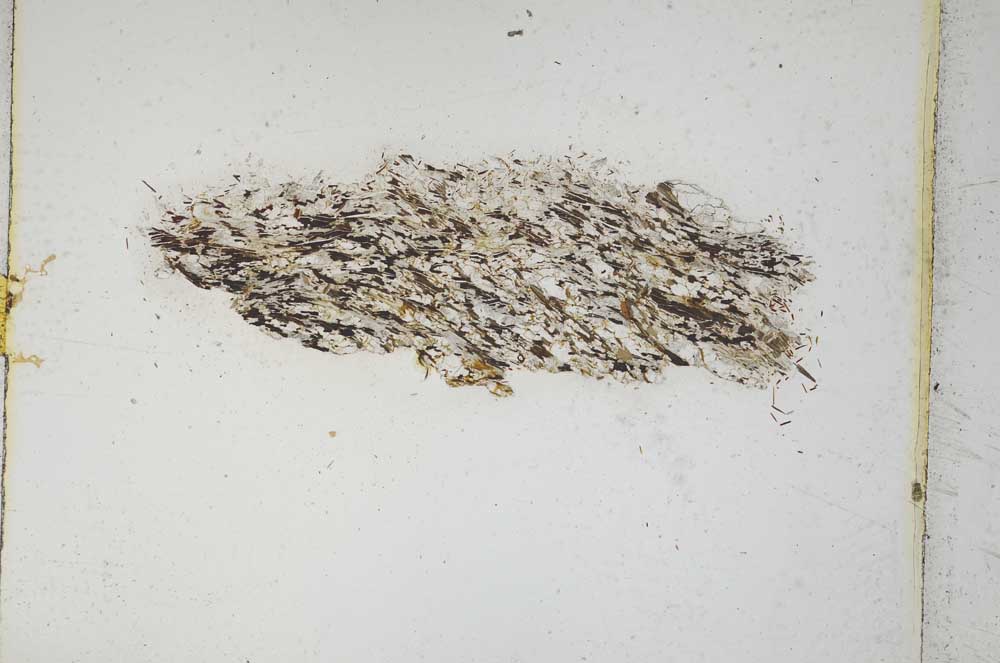 Plane Polarized, S5223