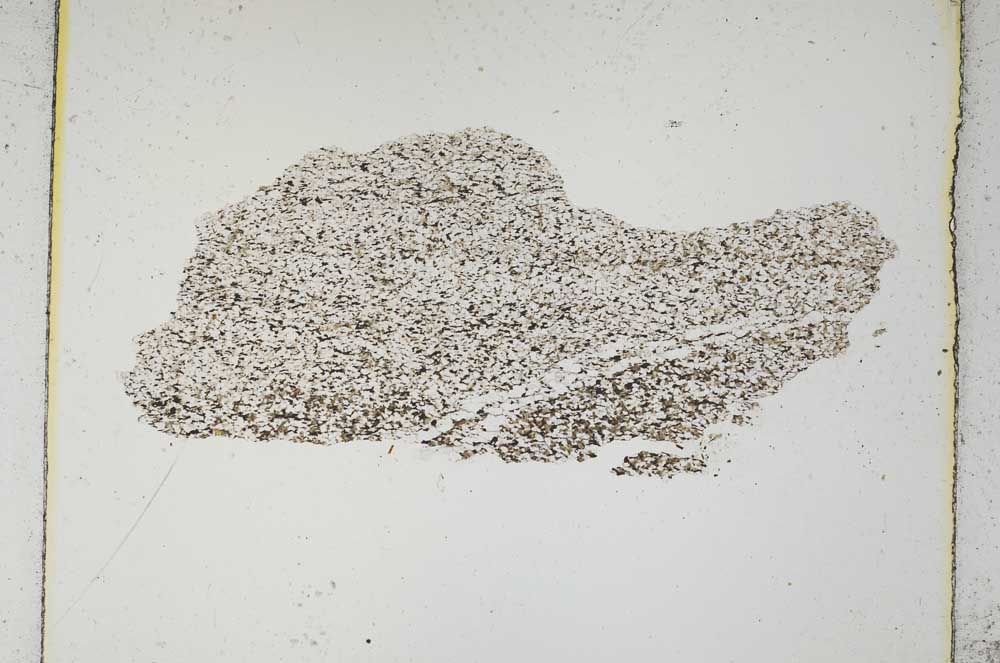 Plane Polarized, S5232