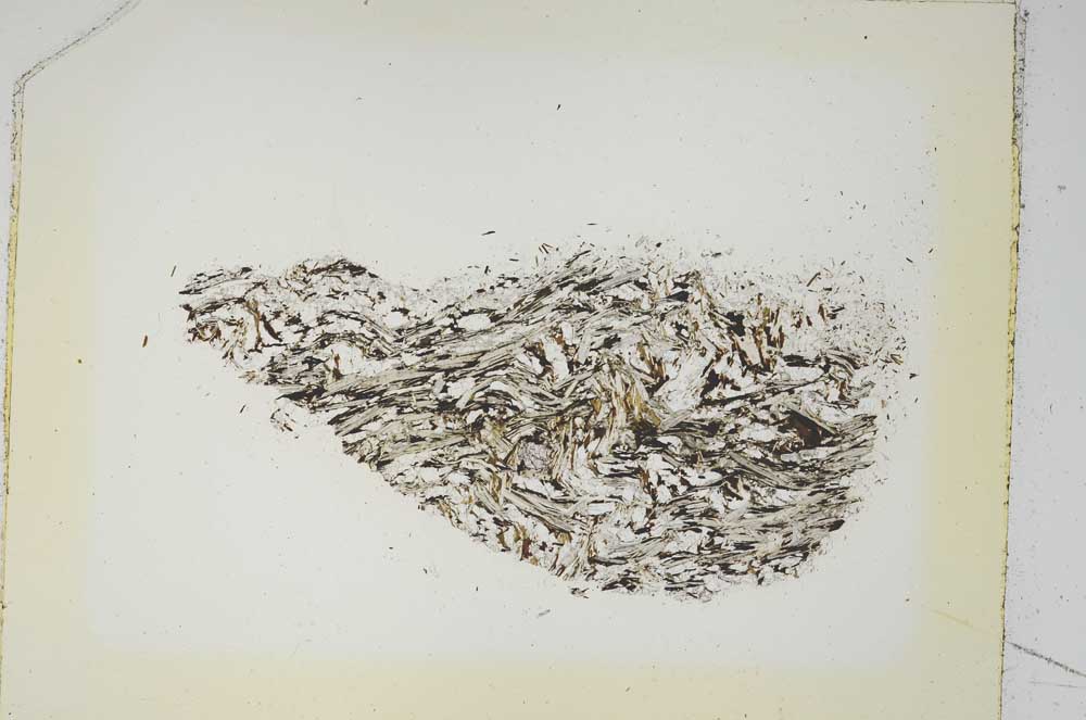 Plane Polarized, S5234