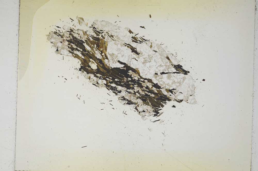 Plane Polarized, S5263