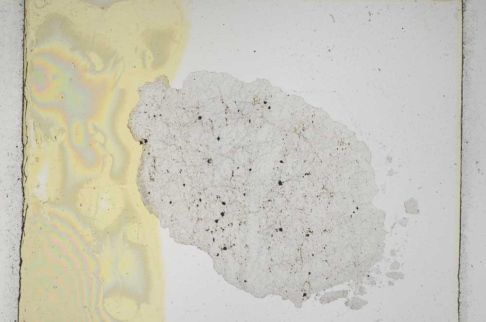 Plane Polarized, S5270