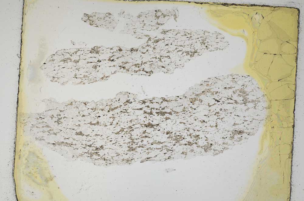 Plane Polarized, S5271