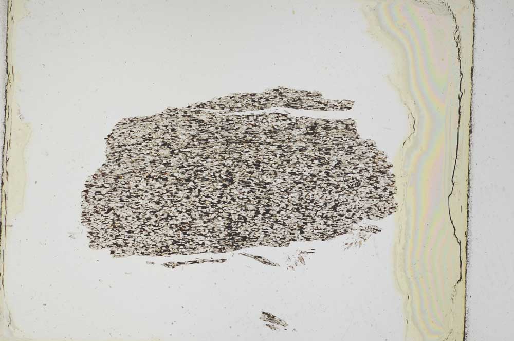 Plane Polarized, S5273