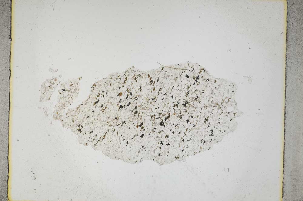 Plane Polarized, S5274