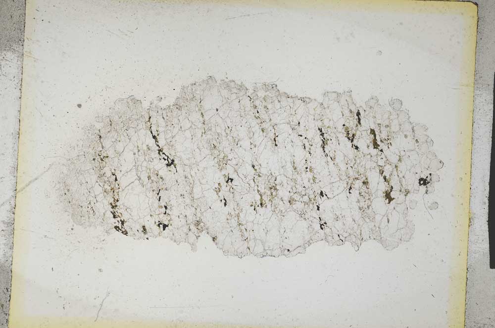 Plane Polarized, S5275