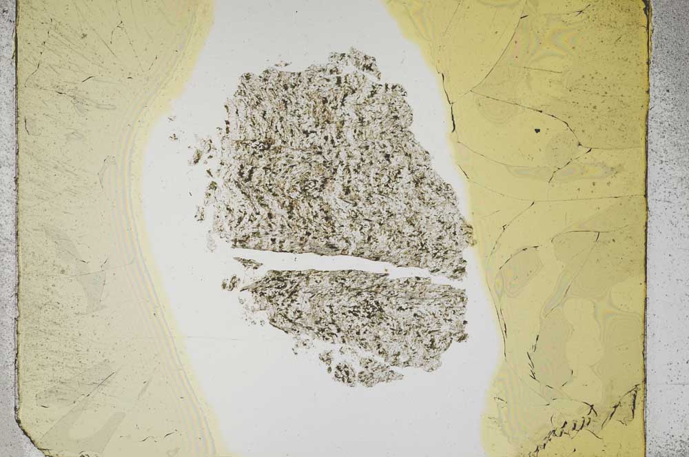 Plane Polarized, S5311