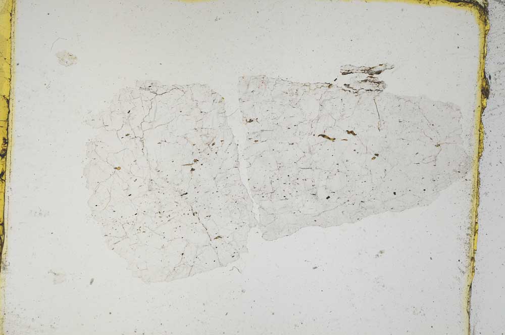 Plane Polarized, S5317