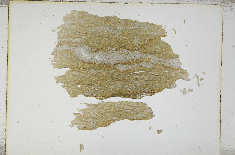 Plane Polarized, S5320