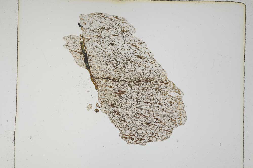 Plane Polarized, S5322