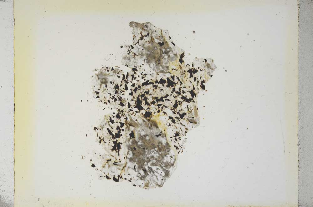 Plane Polarized, S5324