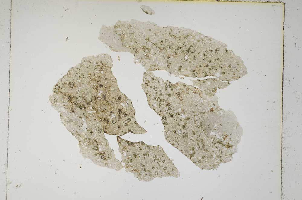 Plane Polarized, S5345