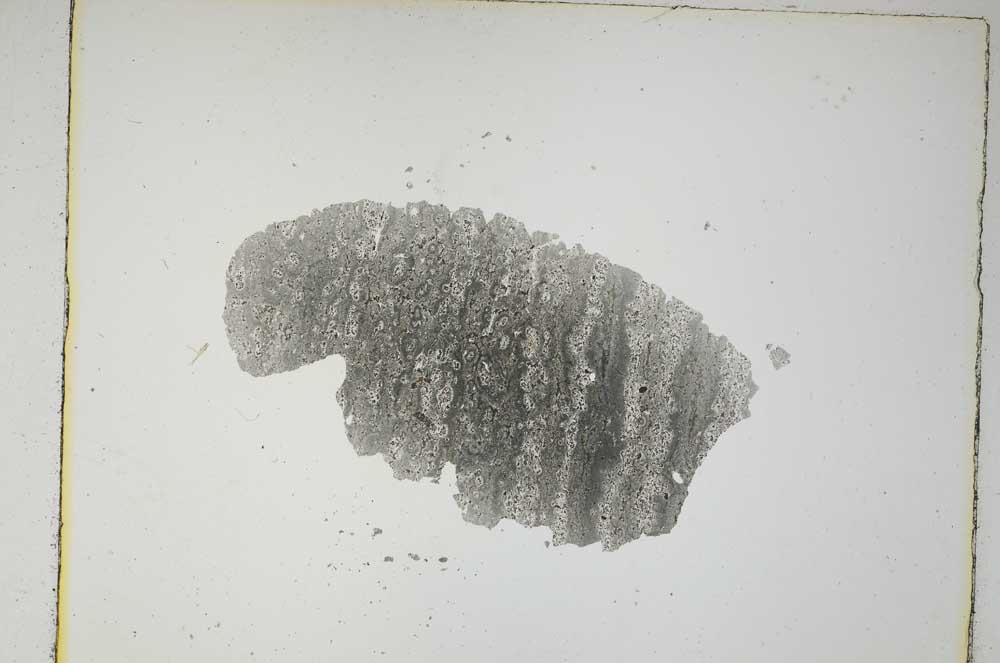 Plane Polarized, S5346