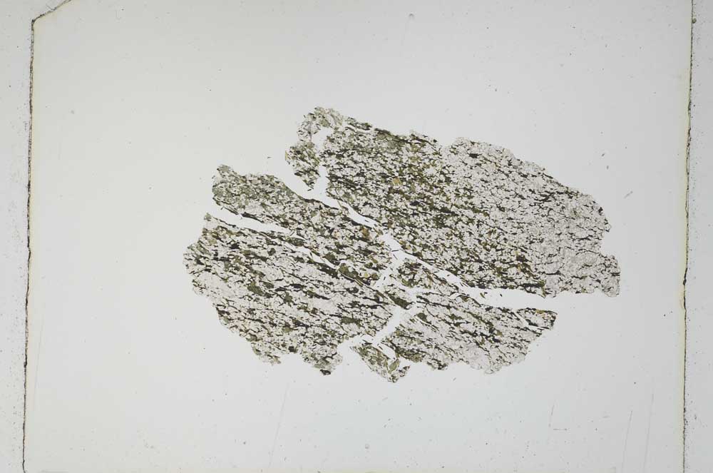 Plane Polarized, S5356