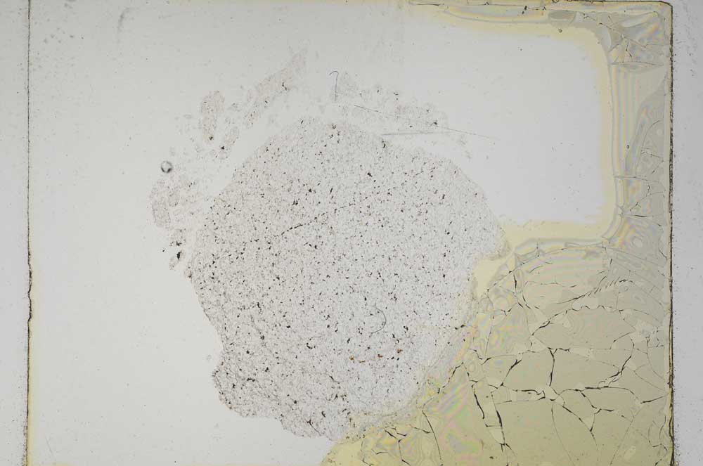 Plane Polarized, S5362