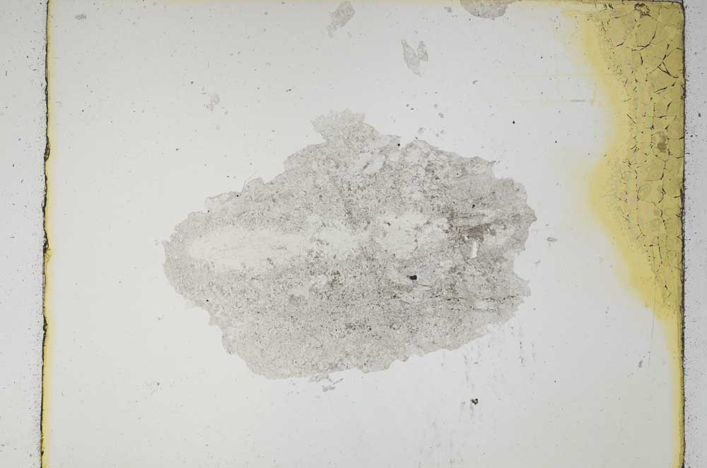 Plane Polarized, S5364