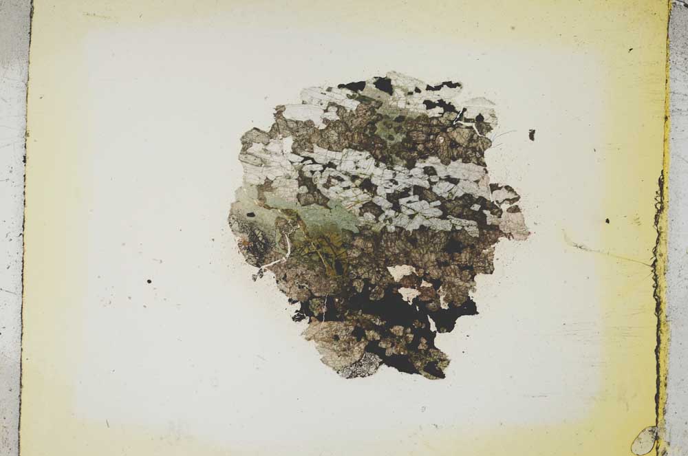 Plane Polarized, S5371