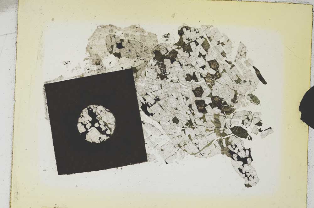 Plane Polarized, S5375