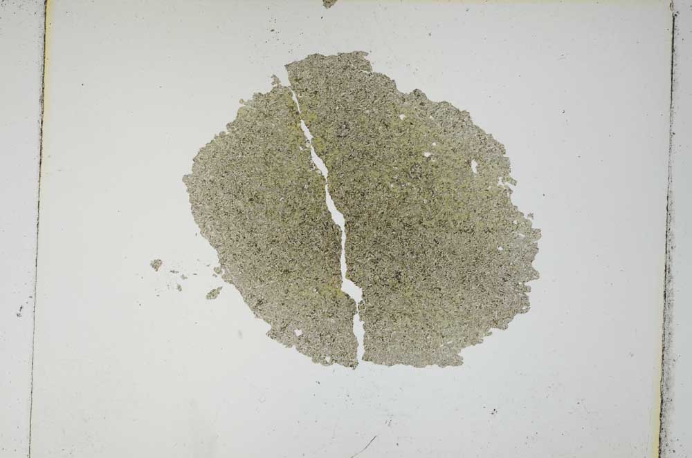 Plane Polarized, S5393