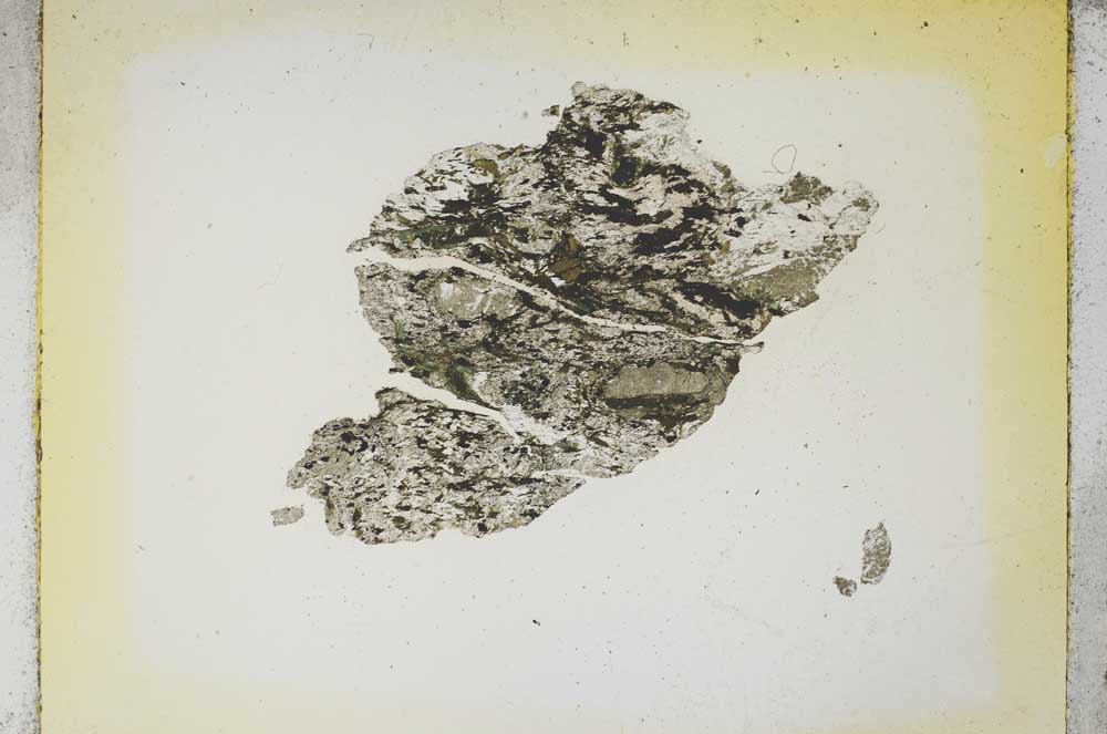 Plane Polarized, S5398