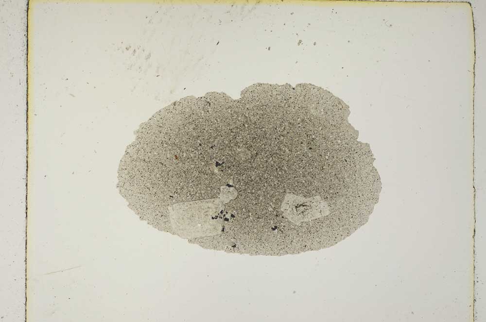 Plane Polarized, S5426