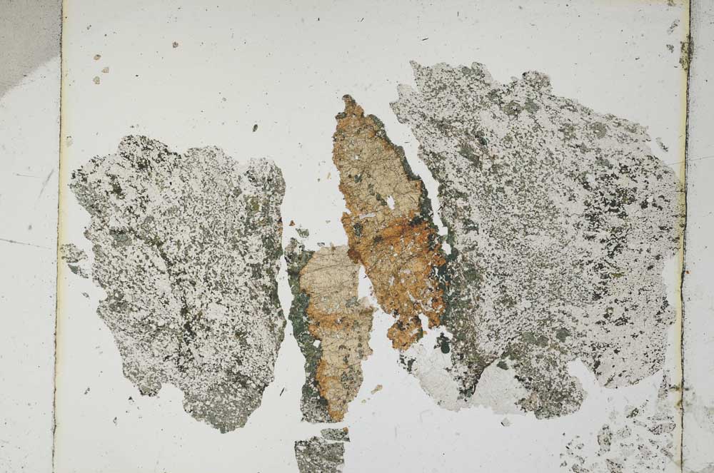 Plane Polarized, S5443