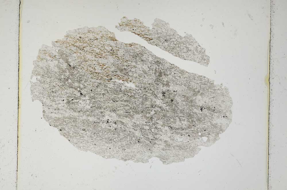 Plane Polarized, S5449