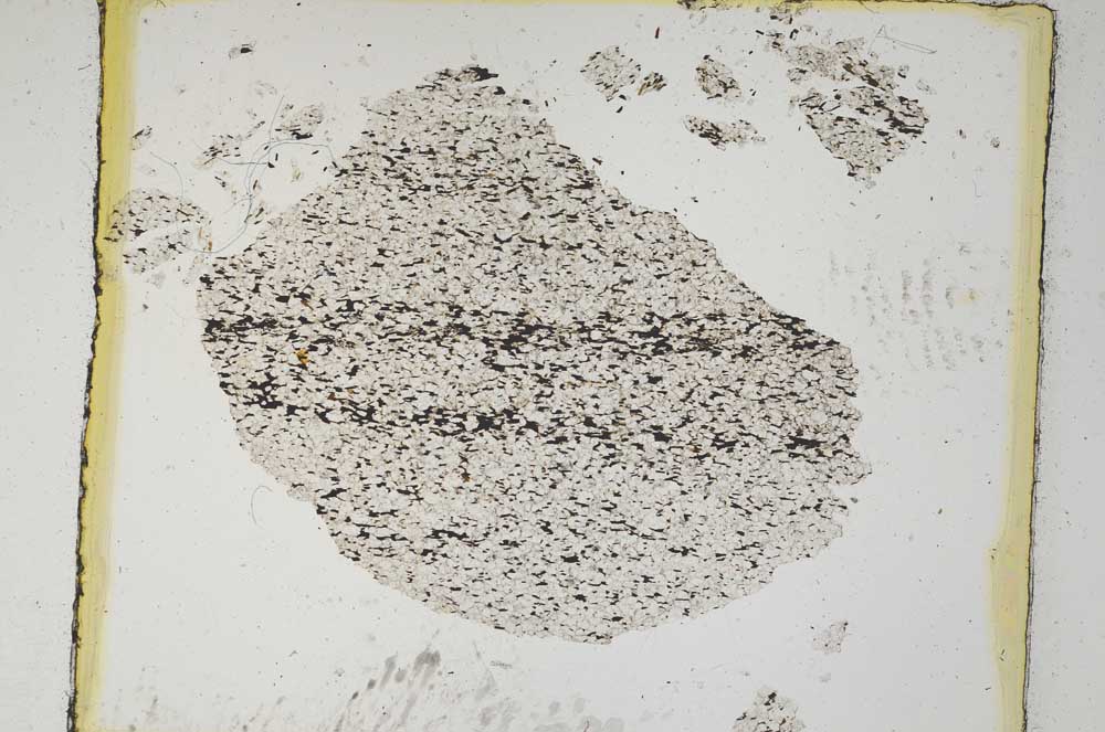 Plane Polarized, S5455