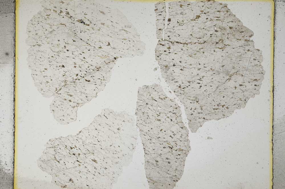 Plane Polarized, S5463