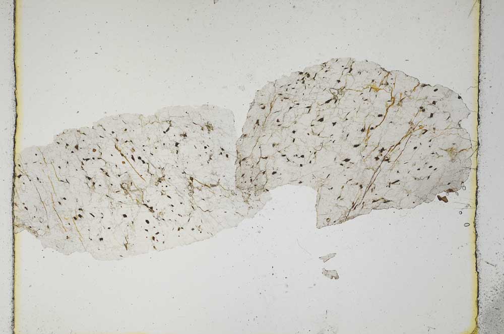 Plane Polarized, S5464