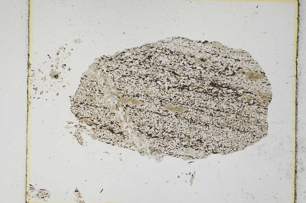 Plane Polarized, S5465