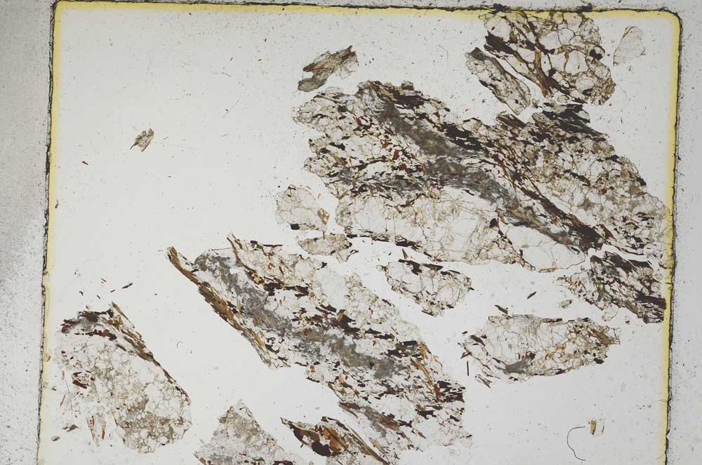 Plane Polarized, S5466