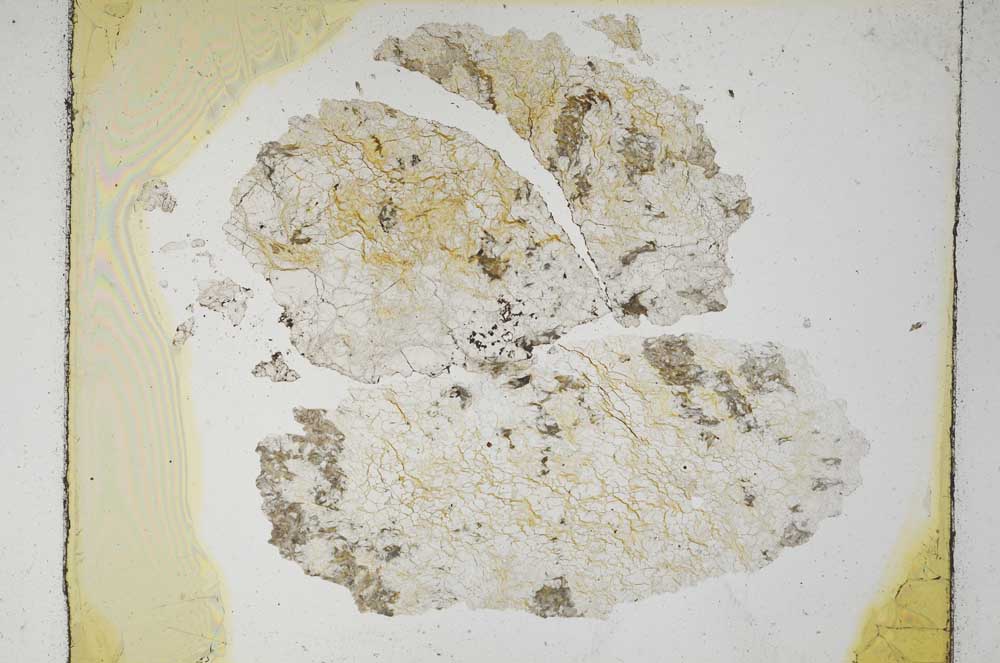 Plane Polarized, S5468