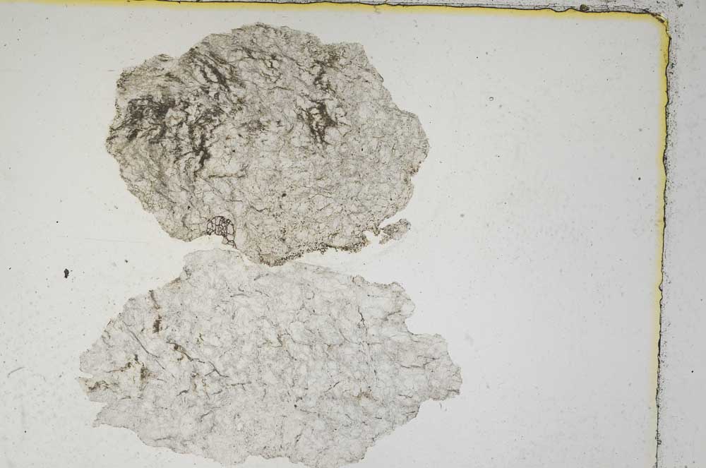 Plane Polarized, S5469