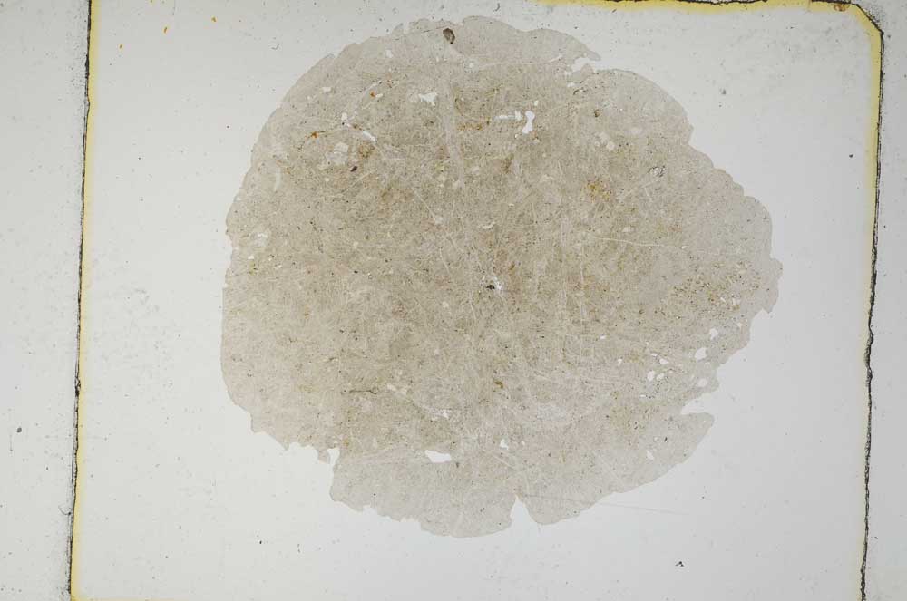 Plane Polarized, S5470