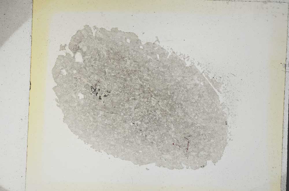 Plane Polarized, S5476