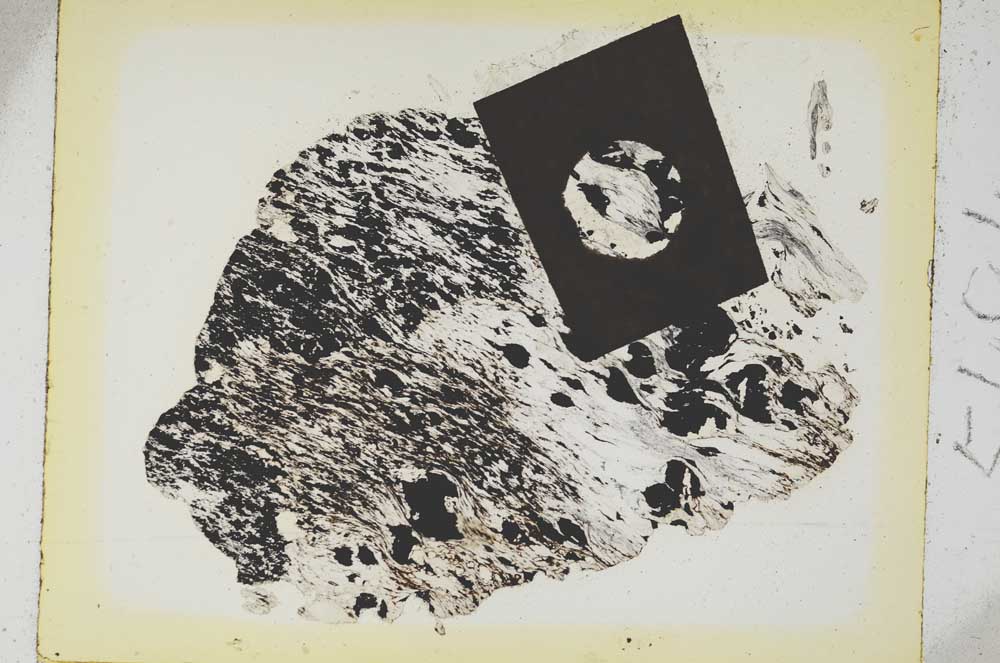 Plane Polarized, S5494