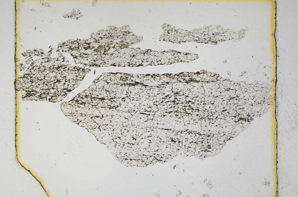 Plane Polarized, S5497