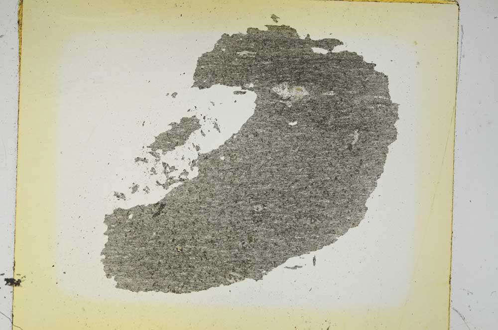 Plane Polarized, S5524
