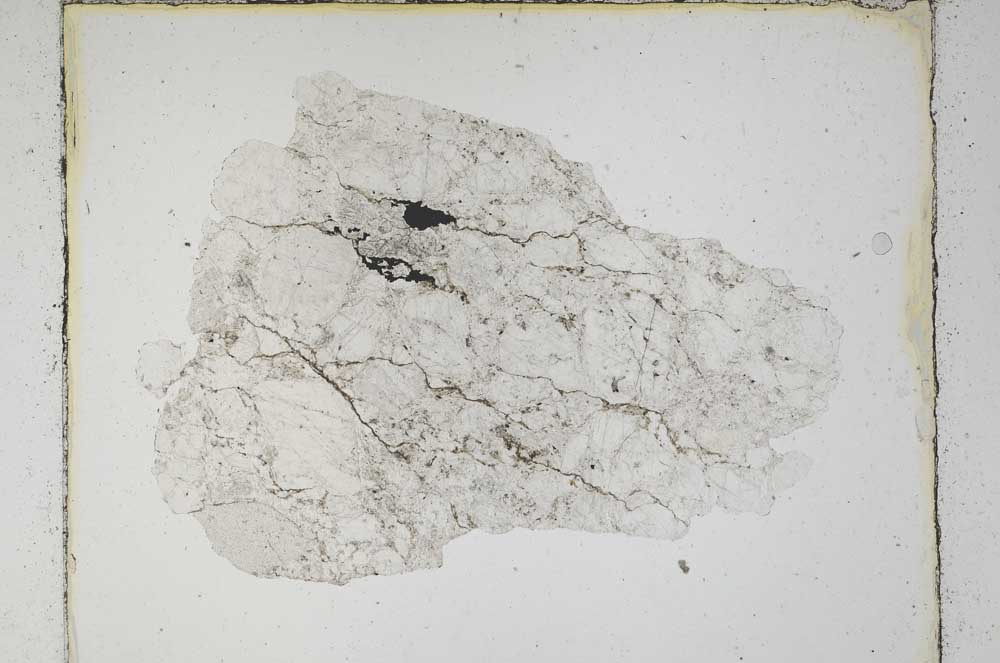 Plane Polarized, S5529