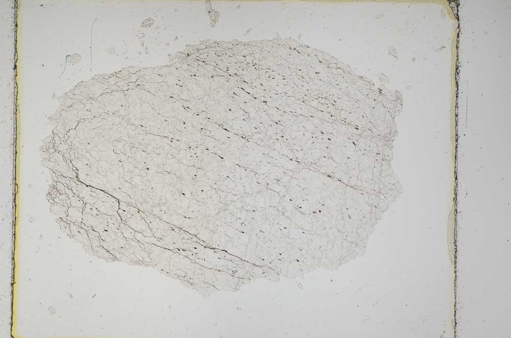 Plane Polarized, S5532