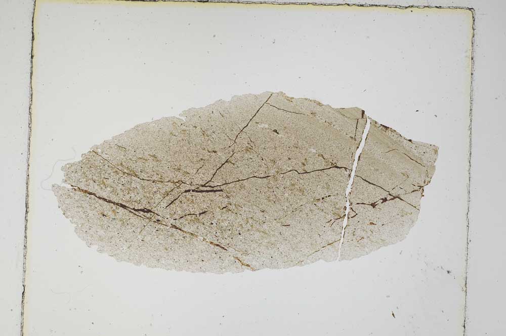 Plane Polarized, S5555