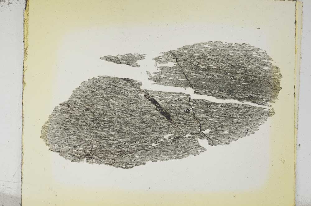 Plane Polarized, S5561