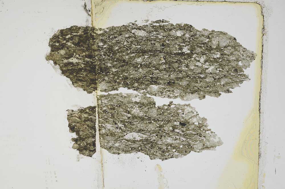 Plane Polarized, S5587