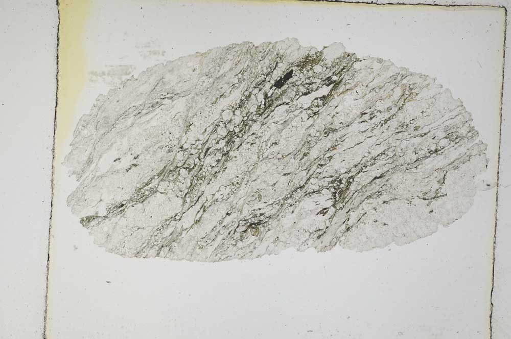 Plane Polarized, S5589