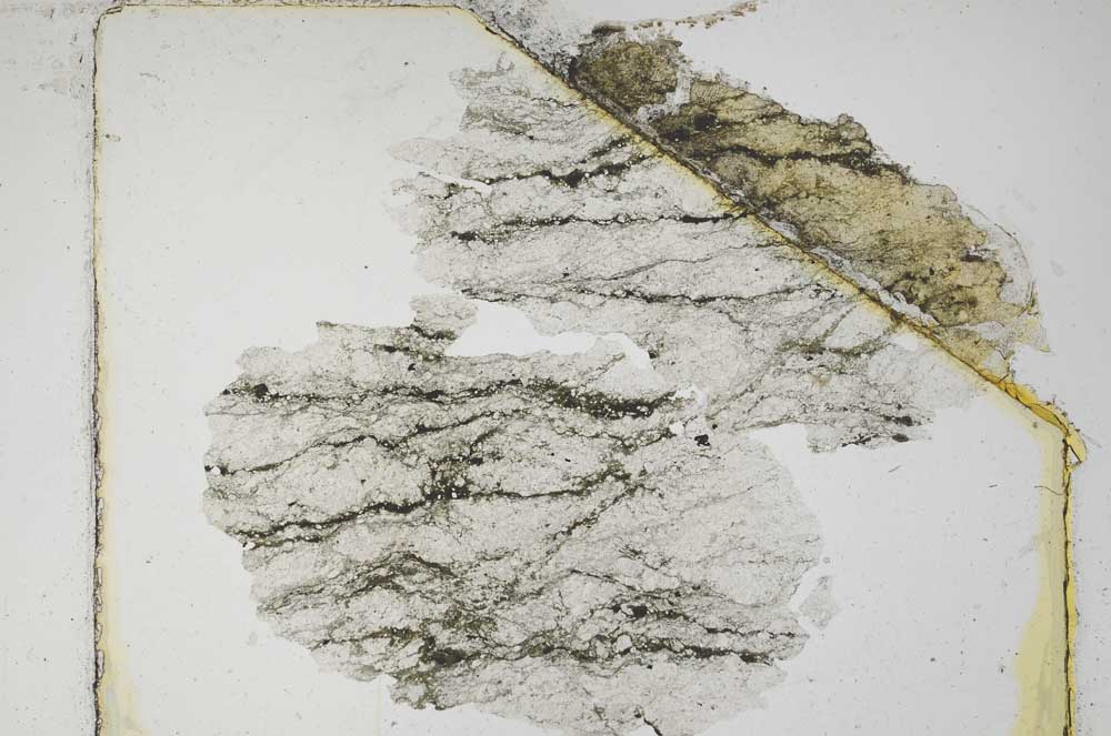 Plane Polarized, S5590