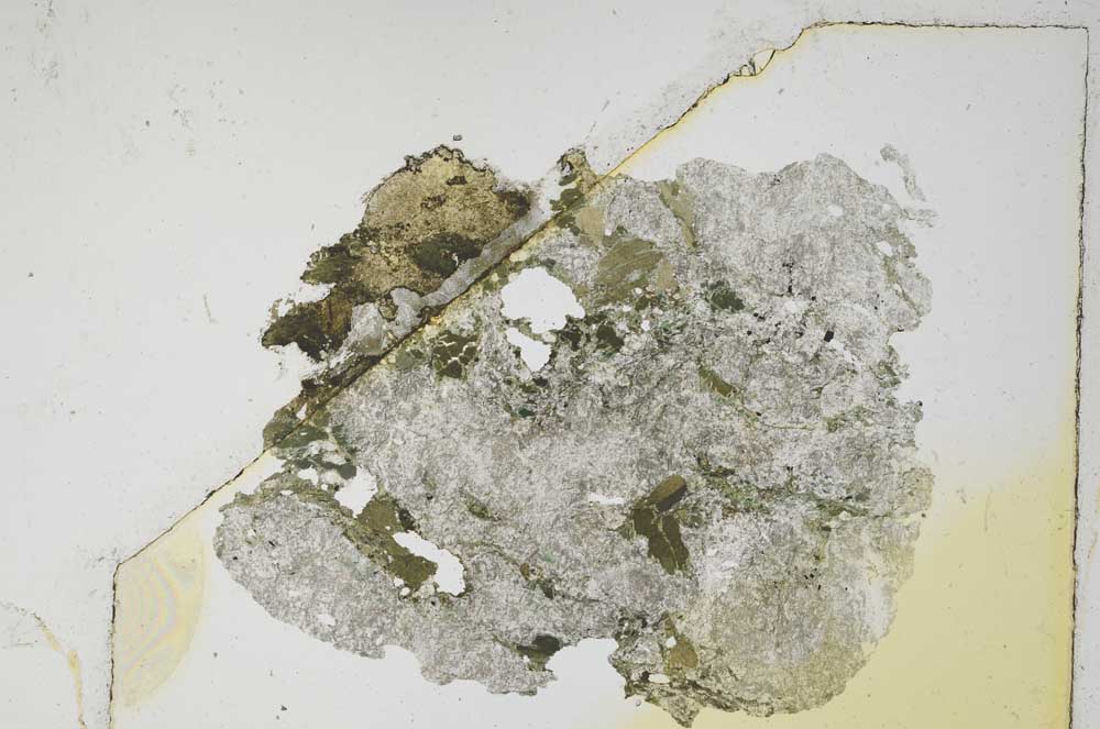 Plane Polarized, S5591