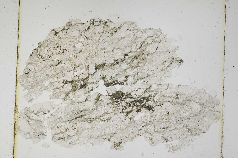 Plane Polarized, S5592