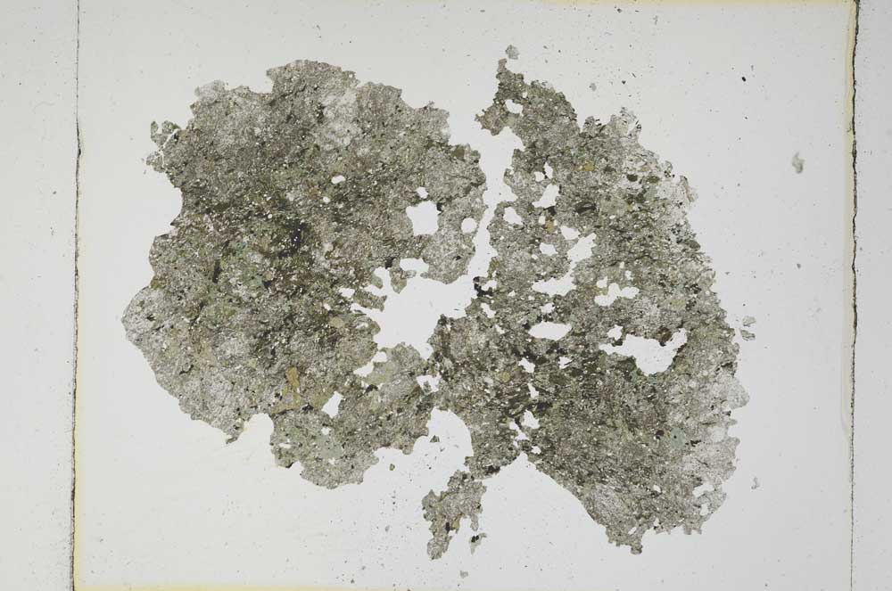 Plane Polarized, S5594